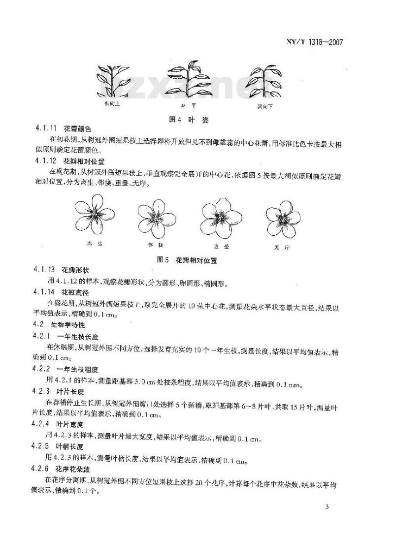 NY/T 1318-2007 农作物种质资源鉴定技术规程 苹果