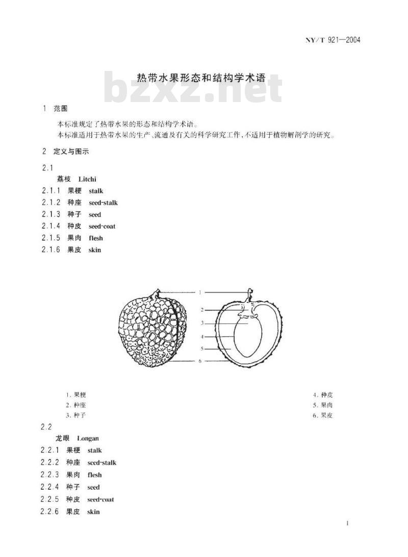 NY/T 921-2004 热带水果形态和结构学术语