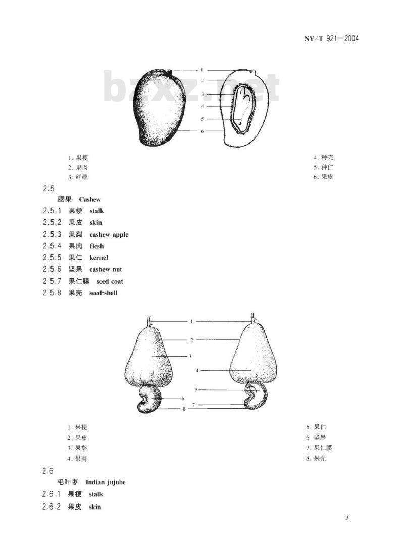 NY/T 921-2004 热带水果形态和结构学术语