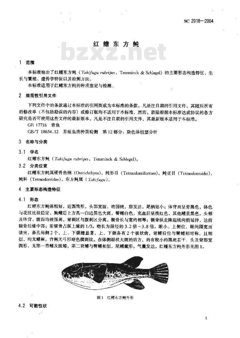 SC 2018-2004 红鳍东方鲀
