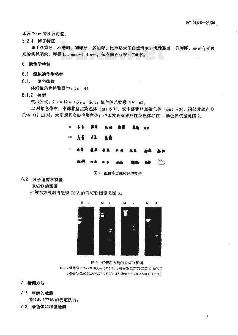 SC 2018-2004 红鳍东方鲀