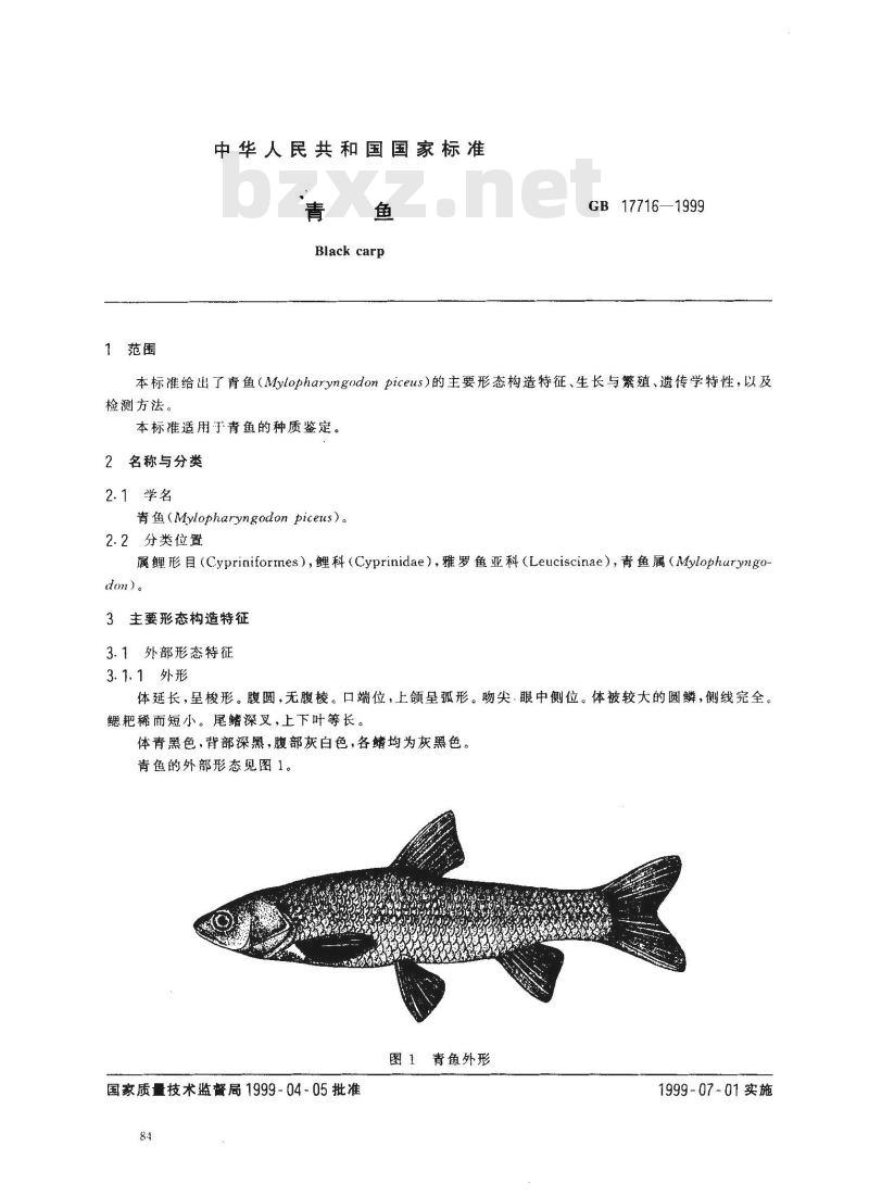 GB 17716-1999 青鱼