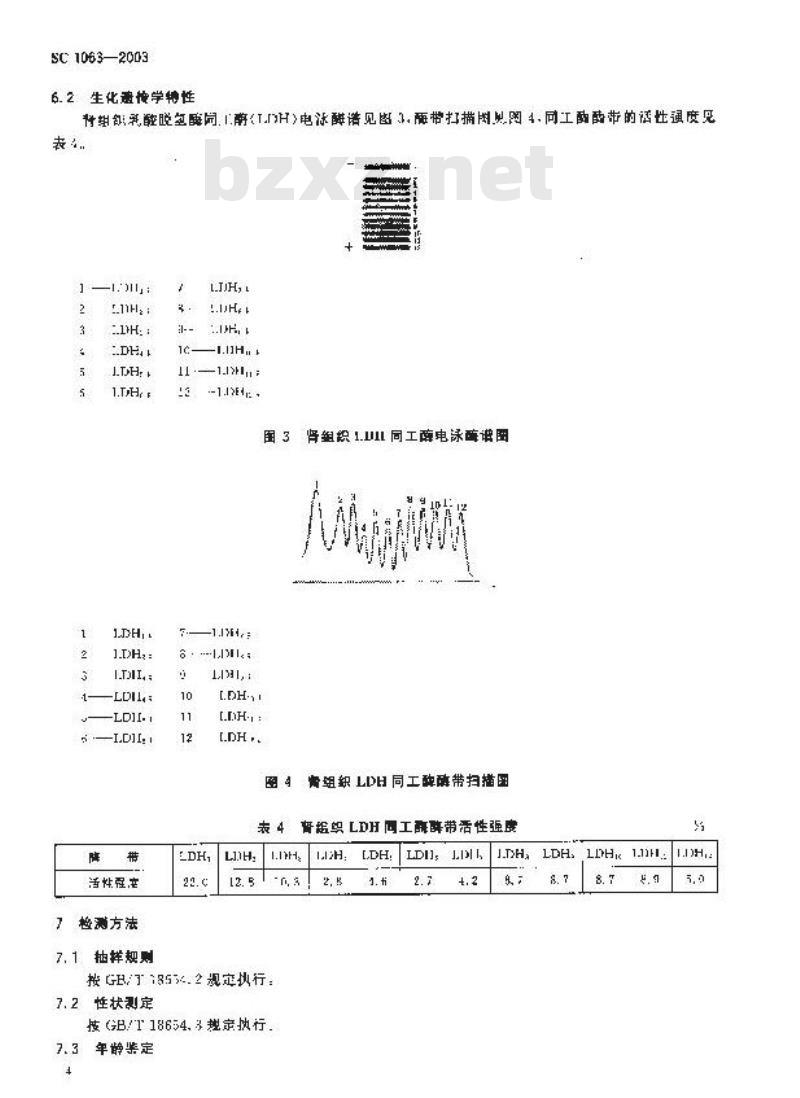 SC 1063-2003 青海湖裸鲤