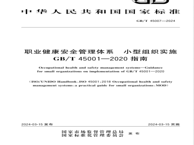 GB/T 45007-2024职业健康安全管理体系 小型组织实施GB/T 45001-2020指南 