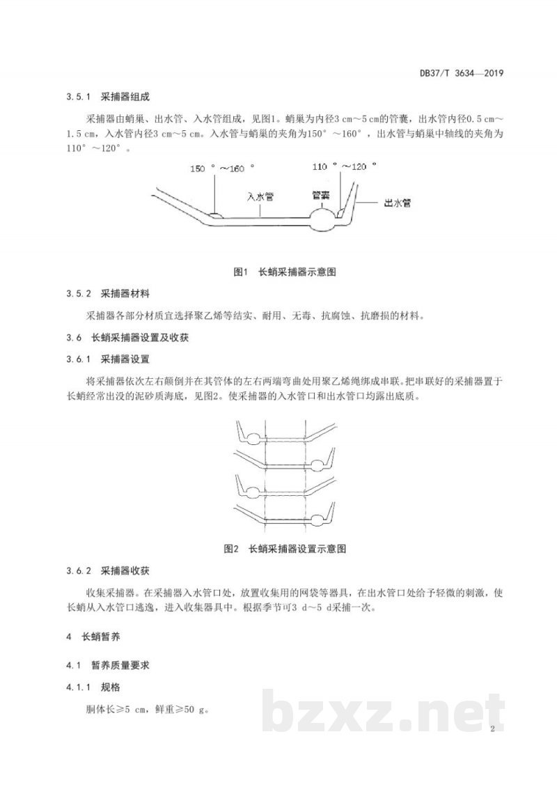 DB37/T 3634-2019长蛸采捕、暂养及运输技术规范